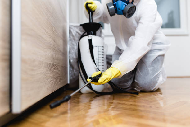 Best Pest Prevention Services  in Roanoke, AL