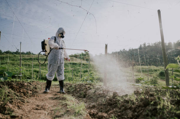 Pest Control Cost in Roanoke, AL