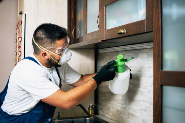 Best Affordable Pest Control Services  in Roanoke, AL