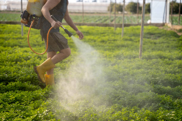 Best Residential Pest Control  in Roanoke, AL