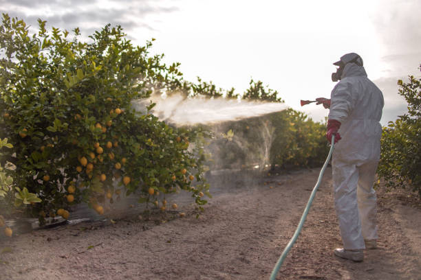 Best Commercial Pest Control Services  in Roanoke, AL