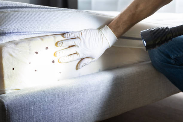 Pest Prevention Services in Roanoke, AL