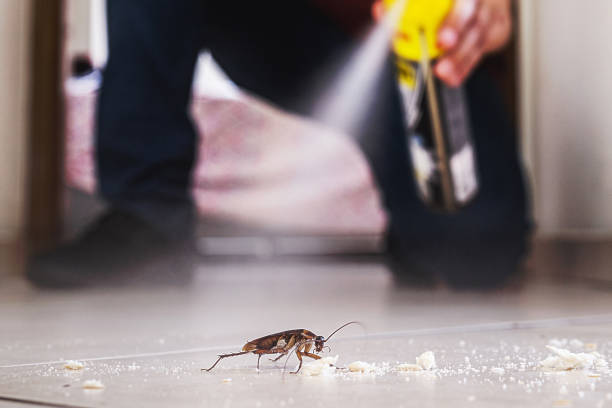 Best Mosquito Control Services  in Roanoke, AL