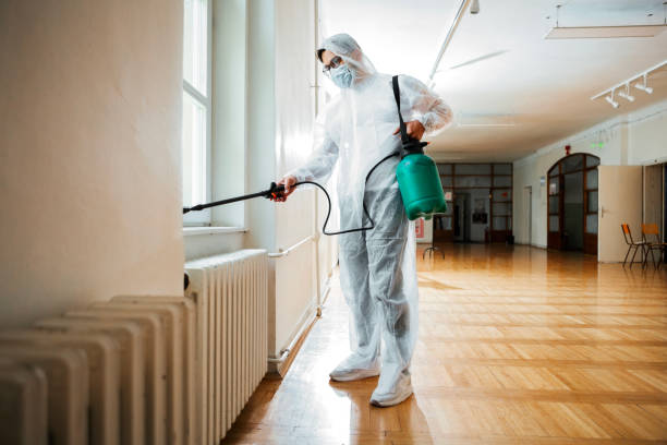 Best Insect Control  in Roanoke, AL