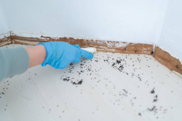 Best Mosquito Control Services  in Roanoke, AL