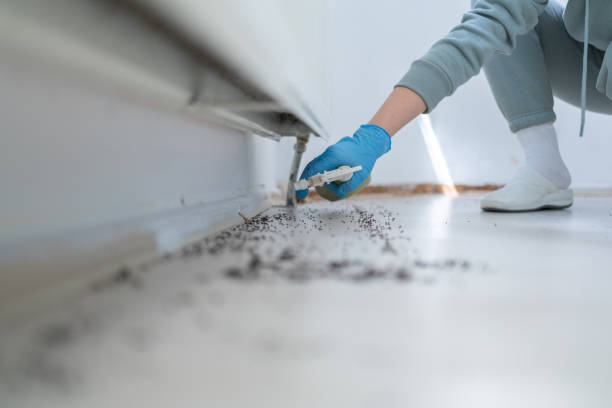 Best Termite Control Services  in Roanoke, AL
