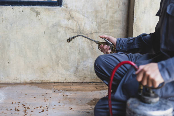 Best Pest Control Near Me  in Roanoke, AL